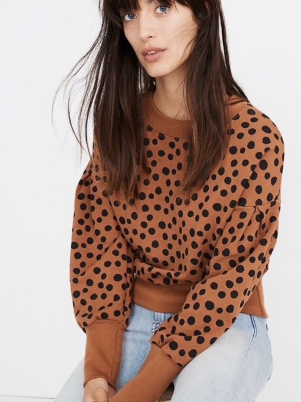 Madewell Brown Polka Dot Crewneck Sweater